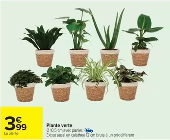 Plante Verte offre à 3,99€ sur Carrefour City