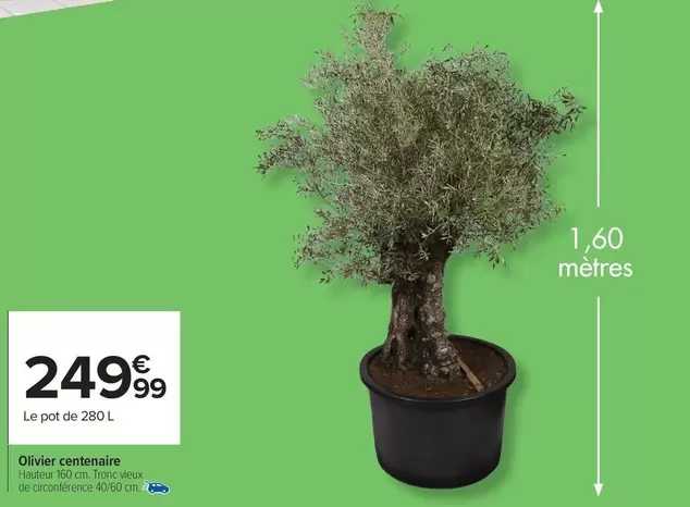 Olivier Centenaire offre à 249,99€ sur Carrefour Market