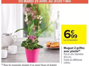 Avril - Muguet 2 Griffes Avec Plante offre à 6,99€ sur Carrefour Drive
