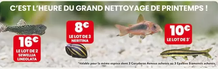 C'Est L'Heure Du Grand Nettoyage De Printemps offre à 8€ sur Animalis