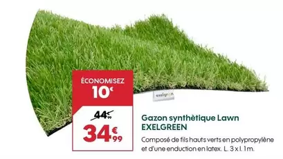 Exelgreen - Gazon Synthétique Lawn offre à 34,99€ sur Truffaut