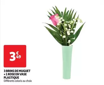 Brins De Muguet + Rose En Vase Plastique offre à 3,49€ sur Auchan Hypermarché