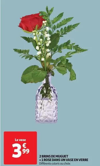 Brins De Muguet + Rose Dans Un Vase En Verre offre à 3,99€ sur Auchan Hypermarché