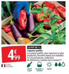Avril - Legumes Greffés offre à 4,99€ sur Gamm vert