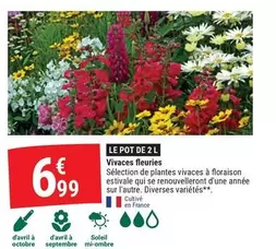 Avril - Vivaces Fleuries offre à 6,99€ sur Gamm vert