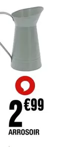 Arrosoir offre à 2,99€ sur La Foir'Fouille