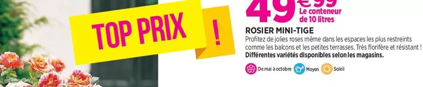 Rosier Mini-Tige offre à 49,99€ sur Delbard