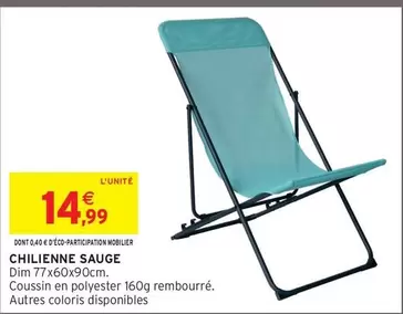 Dim - Chilienne Sauge offre à 14,99€ sur Intermarché Contact