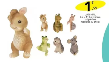 L'animal offre à 1,59€ sur Stokomani
