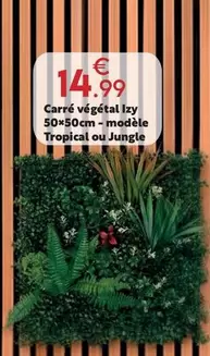 Carré Végétal 150x50cm - Modele Tropical Ou Jungle offre à 14,99€ sur Maxi Bazar