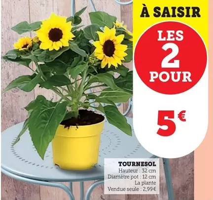 Tournesol offre à 2,99€ sur Super U