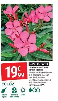 Ecloz - Le Pot De A 10l offre à 19,99€ sur Gamm vert