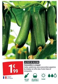 Le Pot 10 offre à 1,99€ sur Gamm vert