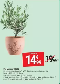 Ecloz - Pot "amano" offre à 14,99€ sur Gamm vert