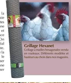 Grillage Hexanet offre sur Point Vert