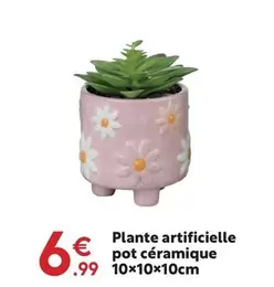 Plante Artificielle Pot Céramique offre à 6,99€ sur Maxi Bazar