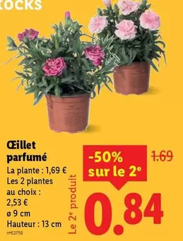 Œillet Parfumé offre à 1,69€ sur Lidl
