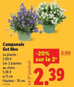 Campanule Get Mee offre à 2,99€ sur Lidl