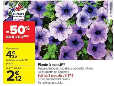 Plante À Massif offre à 4,25€ sur Carrefour Market