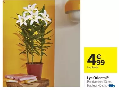 Lys Oriental offre à 4,99€ sur Carrefour Drive