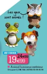 Animal Lumineux Extérieur offre à 19,99€ sur KANDY