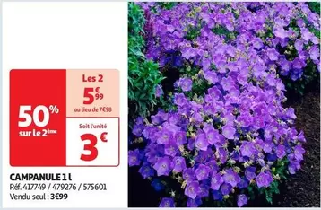 Campanule 1l offre à 3€ sur Auchan Hypermarché