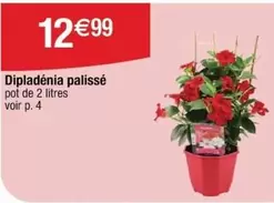 Diplaidênia Palissé offre à 12,99€ sur Cora