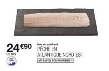 Pêche En Atlantique Nord-est offre à 24,9€ sur Monoprix
