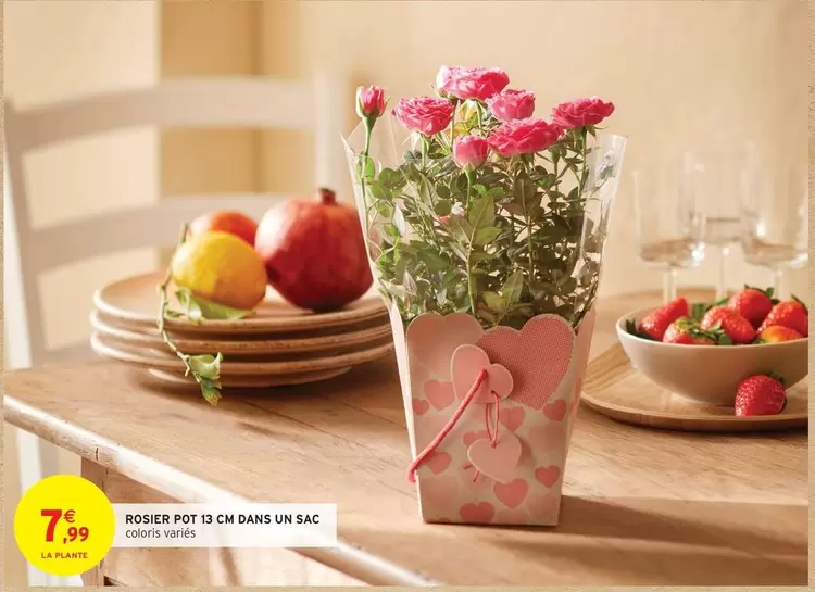 Rosier Pot 12 Cm Dans Un Sac offre à 7,99€ sur Intermarché Express