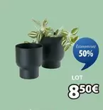 Bac A Fleurs Skade offre à 8,5€ sur JYSK
