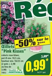 Ceillets "Pink Kisses" offre à 0,99€ sur Norma