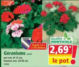 Géraniums offre à 2,69€ sur Norma