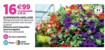 Suspension Anglaise offre à 16,99€ sur Delbard