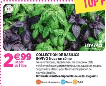 Invivo - Collection De Basilics offre à 2,99€ sur Delbard