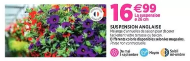 Suspension Anglaise offre à 16,99€ sur Delbard