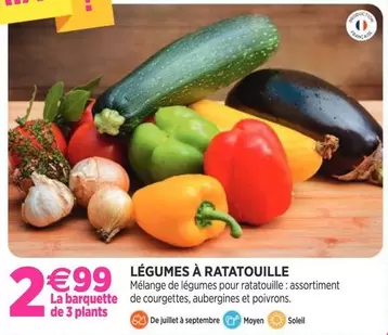 Légumes À Ratatouille offre à 2,99€ sur Delbard