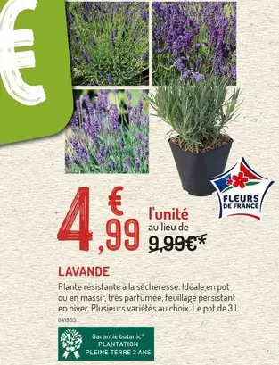Botanic - Lavande offre à 4,99€ sur Botanic