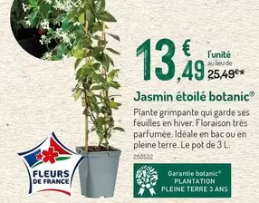 Jasmin Étoile Botanic offre à 13,49€ sur Botanic