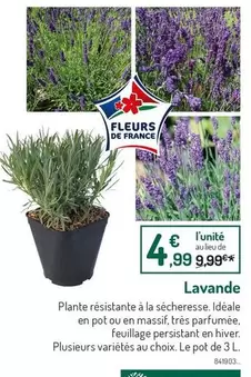 Lavande offre à 4,99€ sur Botanic