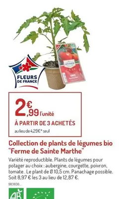 Collection De Plants De Légumes Bio offre à 2,99€ sur Botanic