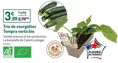 Trio De Courgettes Tempra Verte Bio offre à 3,99€ sur Botanic