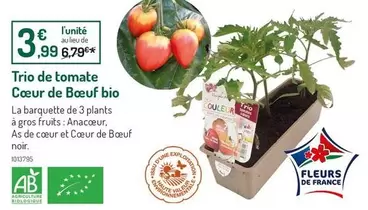 Trio De Tomate Cœur De Bœuf Bio offre à 3,99€ sur Botanic
