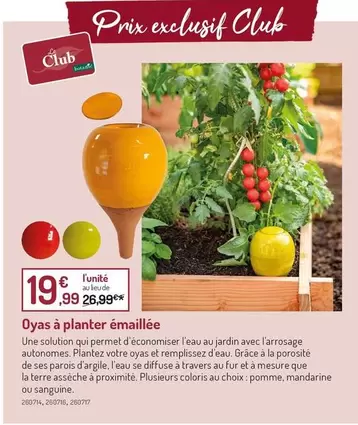 Oyas À Planter Émaillée offre à 19,99€ sur Botanic