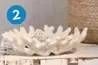Bol Décoratif offre à 5€ sur TEDi