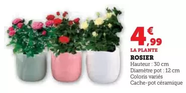 Rosier offre à 4,99€ sur Super U