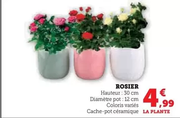Rosier offre à 4,99€ sur U Express