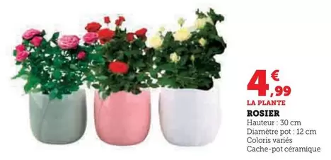 Rosier offre à 4,99€ sur Super U