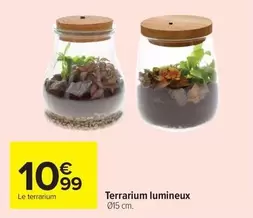 Terrarium Lumineux offre à 10,99€ sur Carrefour Market