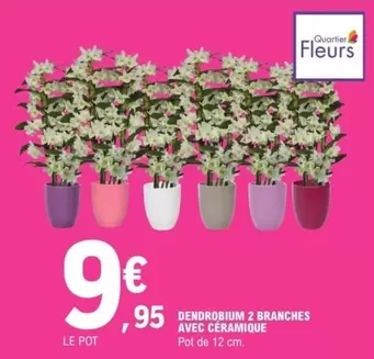 Dendrobium 2 Branches Avec Ceramique offre à 9,95€ sur E.Leclerc