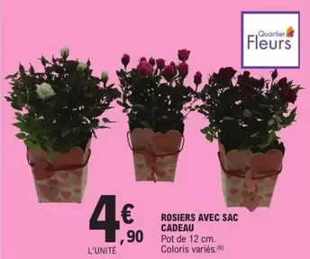 Rosiers Avec Sac Cadeau offre à 4,9€ sur E.Leclerc